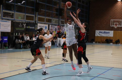 BasCats: Klassiker gegen Bamberg