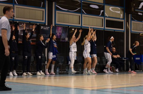 USC BasCats: Pokalknüller gegen Ex-Meister ALBA Berlin