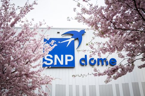 MLP Academics Heidelberg vs. BMA 365 Bamberg Baskets