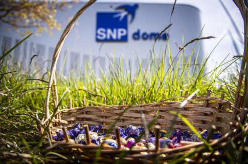 MLP Academics Heidelberg vs. ROSTOCK SEAWOLVES